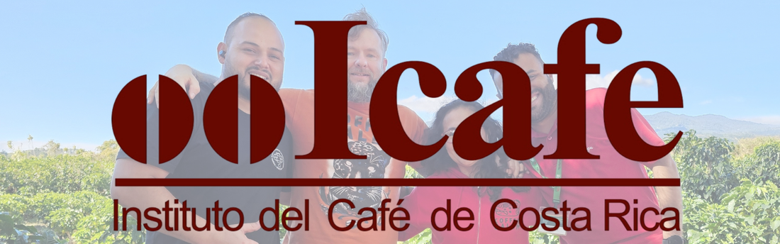 Why Costa Rican Coffee Is So Traceable: Inside the ICAFE System