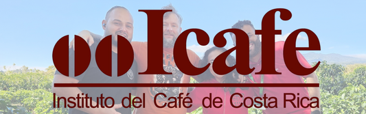 Why Costa Rican Coffee Is So Traceable: Inside the ICAFE System