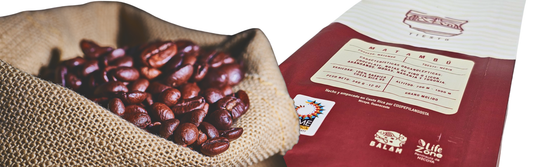 Tiesto: Revisited - An Unmistakable Sensory Experience