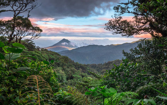 Costa Rica Origin Adventure Tour 2026